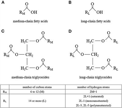 Applications of Medium-Chain Triglycerides in Foods